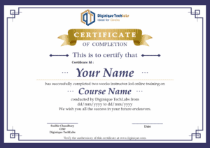 Training Completion Certificate from Diginique TechLabs